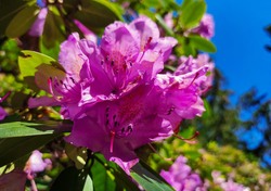 Dom Pracy Tw&oacute;rczej LIMBA - Karpacz